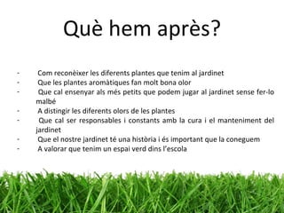 Què hem après? Com reconèixer les diferents plantes que tenim al jardinet Que les plantes aromàtiques fan molt bona olor Que cal ensenyar als més petits que podem jugar al jardinet sense fer-lo malbé A distingir les diferents olors de les plantes Que cal ser responsables i constants amb la cura i el manteniment del jardinet Que el nostre jardinet té una història i és important que la coneguem A valorar que tenim un espai verd dins l’escola 