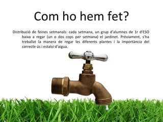 Com ho hem fet? Distribució de feines setmanals: cada setmana, un grup d’alumnes de 1r d'ESO baixa a regar (un o dos cops per setmana) el jardinet. Prèviament, s’ha treballat la manera de regar les diferents plantes i la importància del correcte ús i estalvi d’aigua.  
