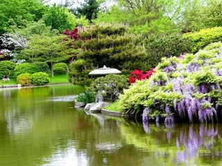 Jardín Japonés