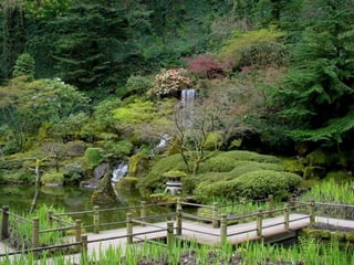 Jardín Japonés