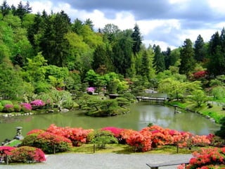 Jardín Japonés