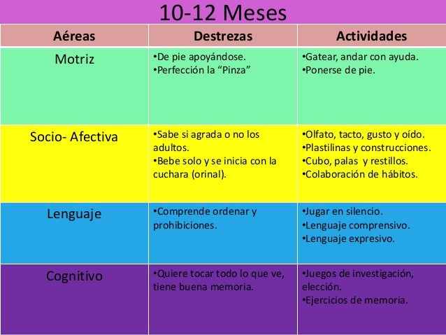 actividades para niños de 10 a 12 meses