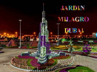 Jardin Milagro   Dubai 