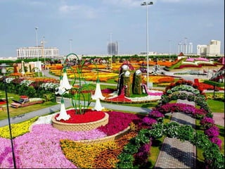 Jardin milagro u00 e0 dubai1