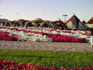 Jardin milagro u00 e0 dubai1