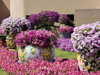 Jardin milagro u00 e0 dubai1