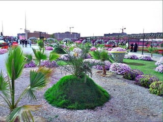 Jardin milagro u00 e0 dubai1