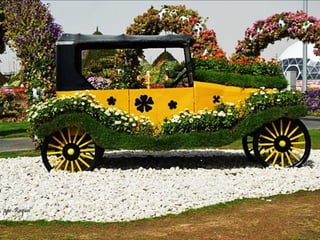 Jardin milagro u00 e0 dubai1