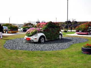 Jardin milagro u00 e0 dubai1