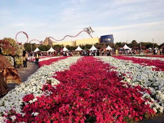 Jardin milagro u00 e0 dubai1