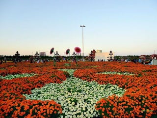 Jardin milagro u00 e0 dubai1