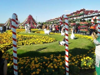 Jardin milagro u00 e0 dubai1