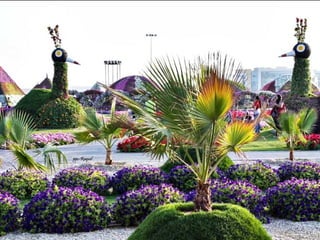 Jardin milagro u00 e0 dubai1