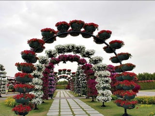 Jardin milagro u00 e0 dubai1