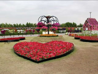 Jardin milagro u00 e0 dubai1