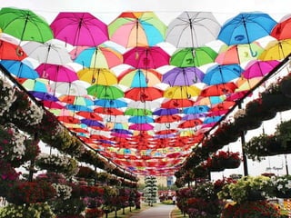 Jardin milagro u00 e0 dubai1