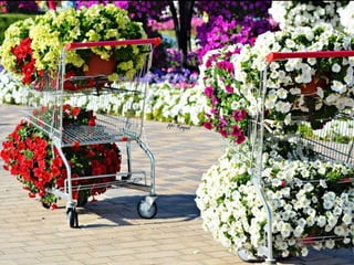 Jardin milagro u00 e0 dubai1