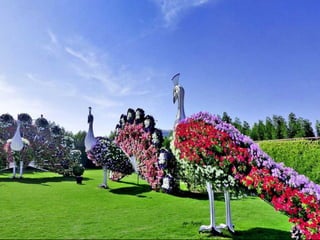 Jardin milagro u00 e0 dubai1