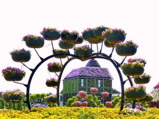 Jardin milagro u00 e0 dubai1