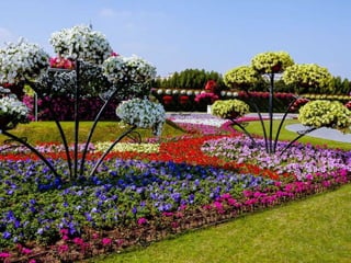 Jardin milagro u00 e0 dubai1