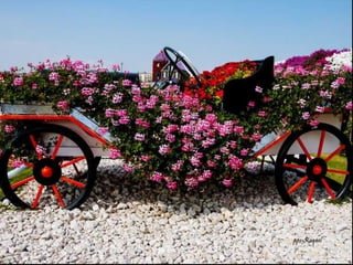 Jardin milagro u00 e0 dubai1