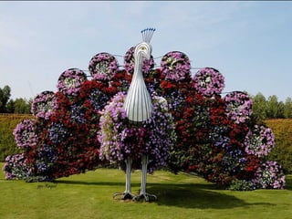 Jardin milagro u00 e0 dubai1