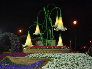 Jardin milagro u00 e0 dubai1
