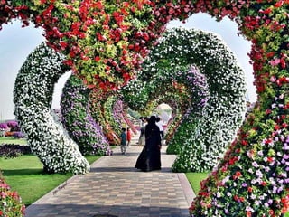 Jardin milagro u00 e0 dubai1