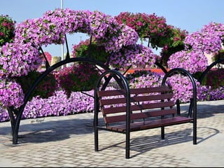 Jardin milagro u00 e0 dubai1