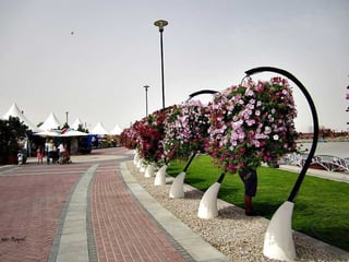 Jardin milagro u00 e0 dubai1