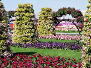 Jardin milagro u00 e0 dubai1