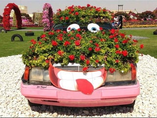 Jardin milagro u00 e0 dubai1