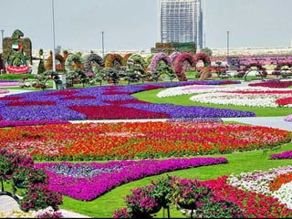 Jardin milagro u00 e0 dubai1