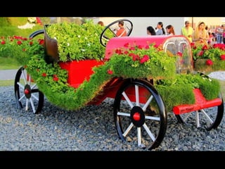 Jardin milagro u00 e0 dubai1