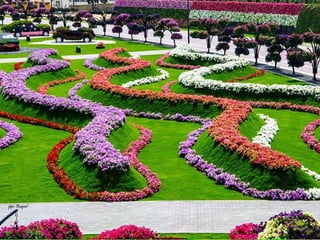 Jardin milagro u00 e0 dubai1