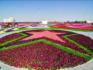 Jardin milagro u00 e0 dubai1