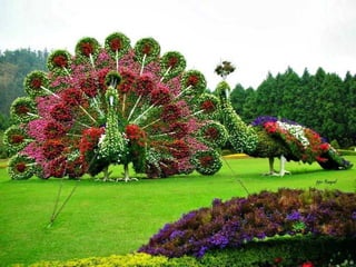 Jardin milagro u00 e0 dubai1