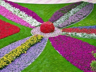 Jardin milagro u00 e0 dubai1