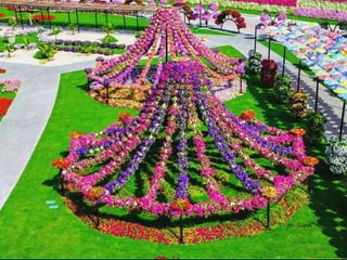 Jardin milagro u00 e0 dubai1