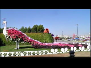 Jardin milagro u00 e0 dubai1