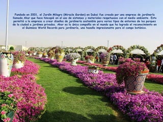 Jardin milagro u00 e0 dubai1