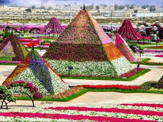 Jardin milagro u00 e0 dubai1