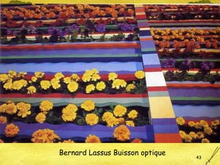 Bernard Lassus Buisson optique 