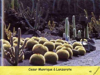 Cesar Manrique à Lanzarote 