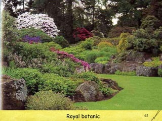 Royal botanic 