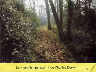 Le « sentier pensant » de Charles Darwin 