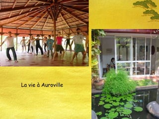 La vie à Auroville 