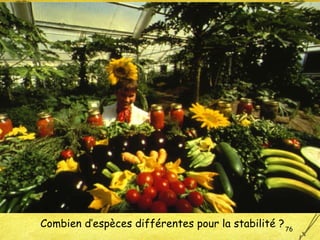 Combien d’espèces différentes pour la stabilité ? 