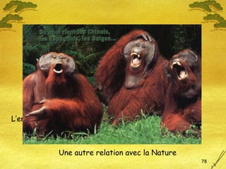 L’empathie Une autre relation avec la Nature 