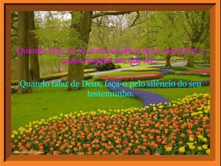 Quando falar de Deus, faça-o pelo silêncio do seu testemunho. Quando falar de fé, cerre os olhos para encontrar a razão daquilo em que crê.  